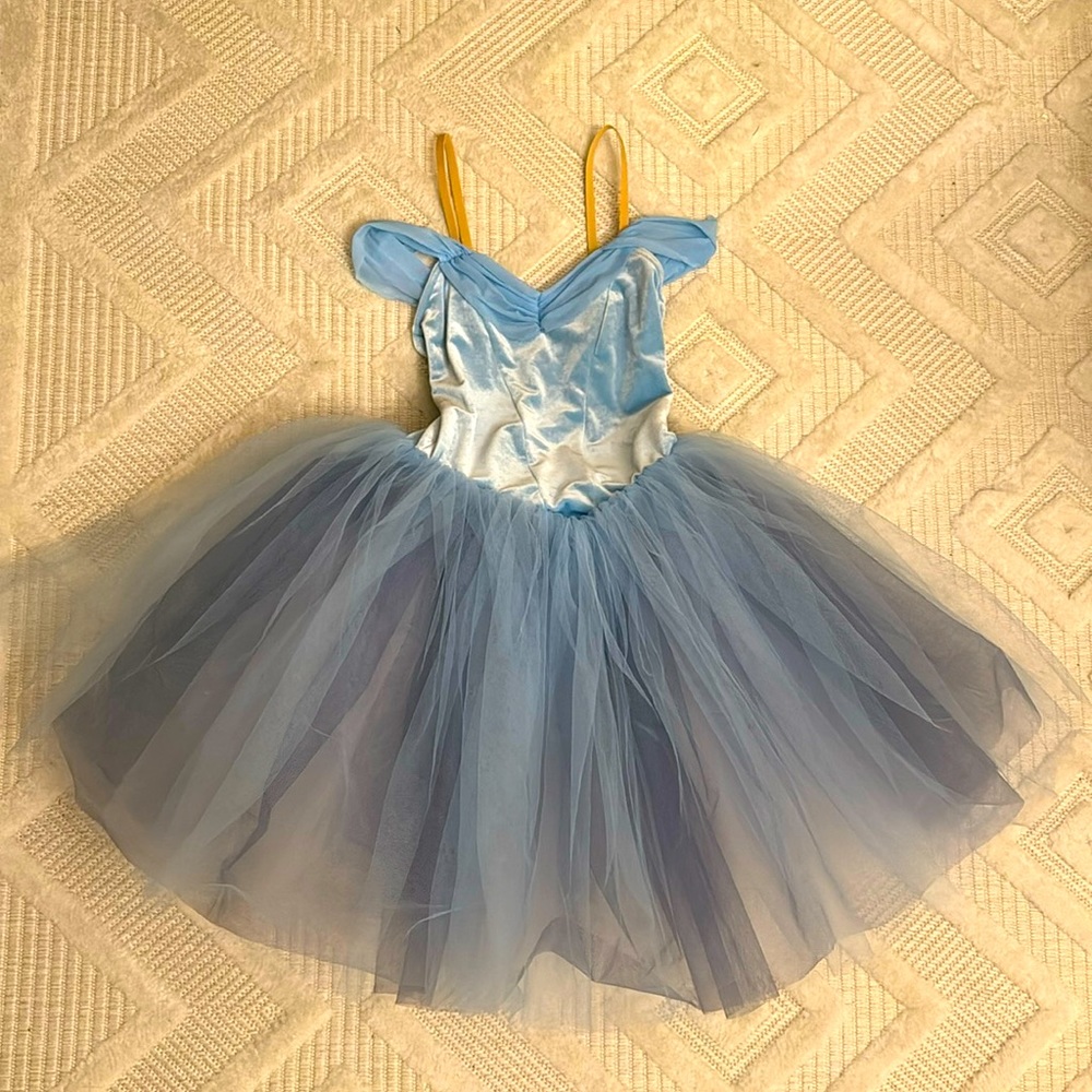 Dance Costume Ballet